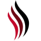 bhtransplantedecabello.com-logo